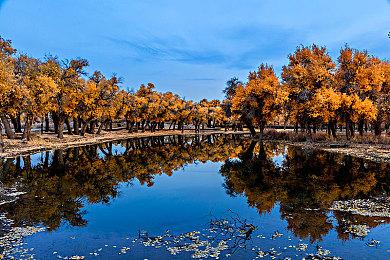 任天堂Switch高级会员新增4款免费经典游戏：《街头霸王2》等